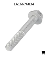 AGCO LA16676834 Винт с шестигранной головкой
