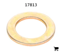 AGCO 17813 Плоская шайба