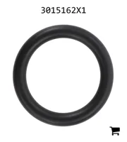 AGCO 3015162X1 Уплотнительное кольцо