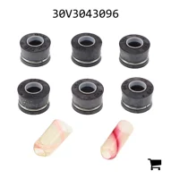 AGCO 30V3043096 Ремкомплект