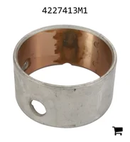 AGCO 4227413M1 Втулка
