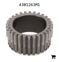 AGCO 4301263M1 Планета