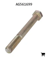 AGCO AG561699 Болт с шестигранной головкой