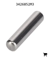 AGCO 3426852M3 Игольчатый ролик