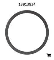 AGCO 13013834 Шайба