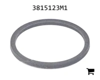 AGCO 3815123M1 Сальник трансмиссии