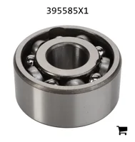 AGCO 395585X1 Шариковый подшипник