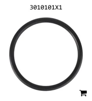 AGCO 3010101X1 Уплотнительное кольцо