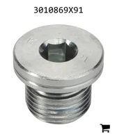 AGCO 3010869X91 Пробка с шестигранной головкой