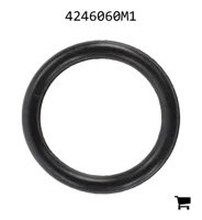 AGCO 4246060M1 Уплотнительное кольцо