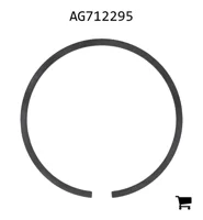 AGCO AG712295 Поршневое кольцо гидромотора колеса