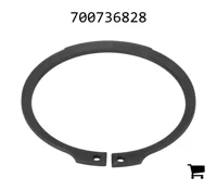 AGCO 700736828 Стопорное кольцо