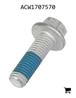 AGCO ACW1707570 Винт с шестигранной головкой и фланцем