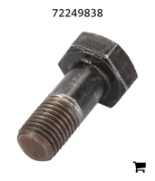 AGCO 72249838 Винт