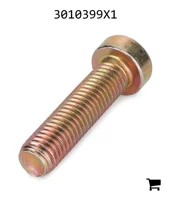 AGCO 3010399X1 Винт с потайной головкой