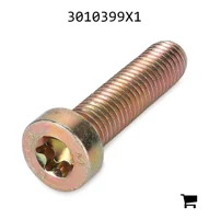 AGCO 3010399X1 Винт с потайной головкой