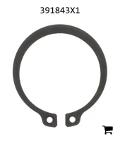 AGCO 391843X1 Стопорное кольцо