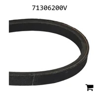 AGCO 71306200V Ремень генератора