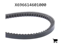 AGCO X696614601000 Ремень клиновой
