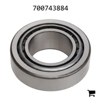 AGCO 700743884 Роликовый подшипник