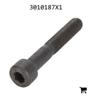 AGCO 3010187X1 Винт с цилиндрической головкой и шестигранным углублением