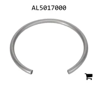 AGCO AL5017000 Кольцо