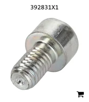 AGCO 392831X1 Винт с цилиндрической головкой и шестигранным углублением