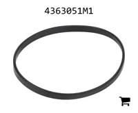 AGCO 4363051M1 Прокладка всасывающего фильтра 150 микрон