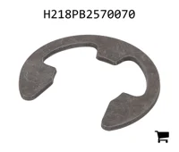 AGCO H218PB2570070 Зажим