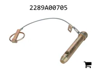 AGCO 2289A00705 Палец