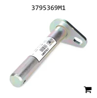 AGCO 3795369M1 Палец вилки