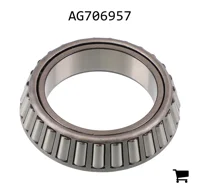 AGCO AG706957 Конус