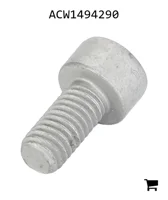 AGCO ACW1494290 Установочный винт с шестигранной головкой