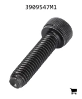 AGCO 3909547M1 Винт