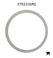 AGCO 3792331M2 Шайба