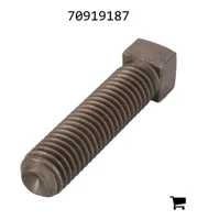 AGCO 70919187 Установочный винт