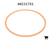 AGCO 402317X1 Опорное кольцо