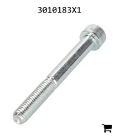 AGCO 3010183X1 Винт с цилиндрической головкой и шестигранным углублением