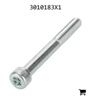 AGCO 3010183X1 Винт с цилиндрической головкой и шестигранным углублением