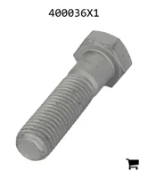 AGCO 400036X1 Болт с шестигранной головкой