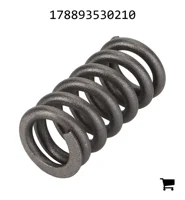AGCO 178893530210 Пружина сжатия