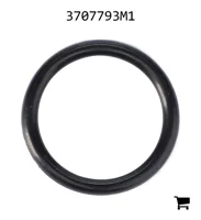 AGCO 3707793M1 Уплотнительное кольцо масляного поддона