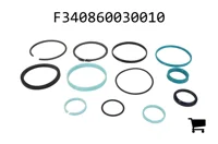 AGCO F340860030010 Комплект уплотнений гидроцилиндра