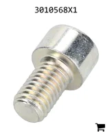 AGCO 3010568X1 Винт с цилиндрической головкой и шестигранным углублением