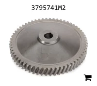 AGCO 3795741M2 Шестерня