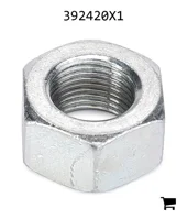 AGCO 392420X1 Шестигранная гайка