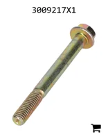 AGCO 3009217X1 Болт с шестигранной головкой и фланцем