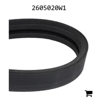 AGCO 2605020W1 Ремень