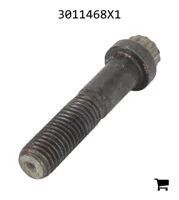 AGCO 3011468X1 Винт с 12-гранной фланцевой головкой