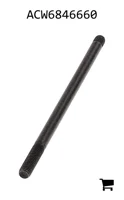 AGCO ACW6846660 Болт